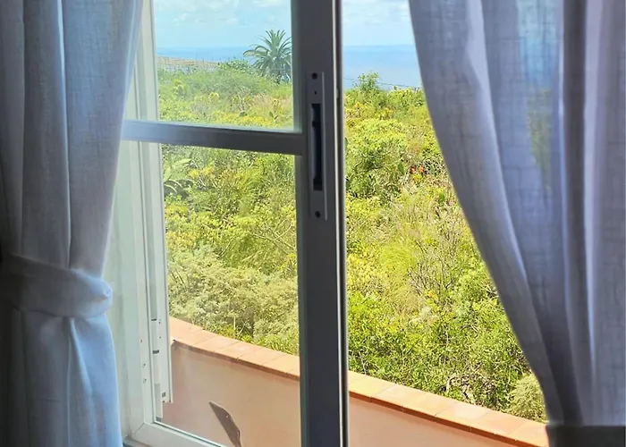 Live Tacoronte Casa Tagoro * El Pris